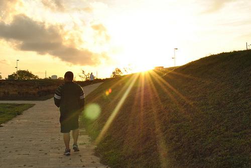 Работа кардио нагрузок утром