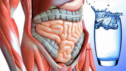 Два стакана теплой воды утром натощак польза и вред. Польза воды по утрам: 9 причин, почему полезно пить воду натощак