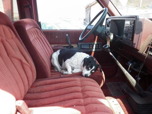 Самые трогательные истории о любви. 14 трогательных историй о любви