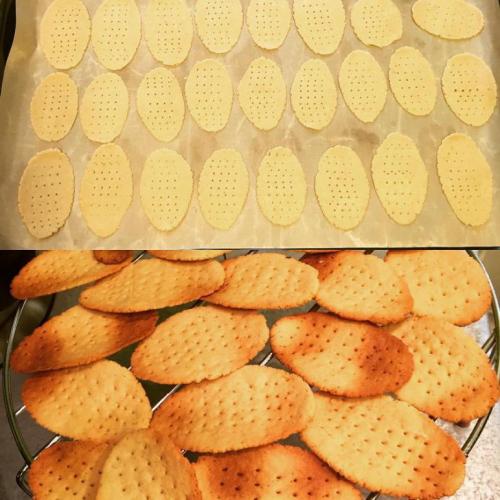 Печенье по Дюкану рецепты чередование. Печенье на диете Дюкана: готовим сами