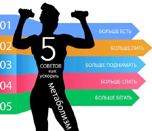 Как УЛУЧШИТЬ обмен веществ форум. Как ускорить обмен веществ и похудеть?