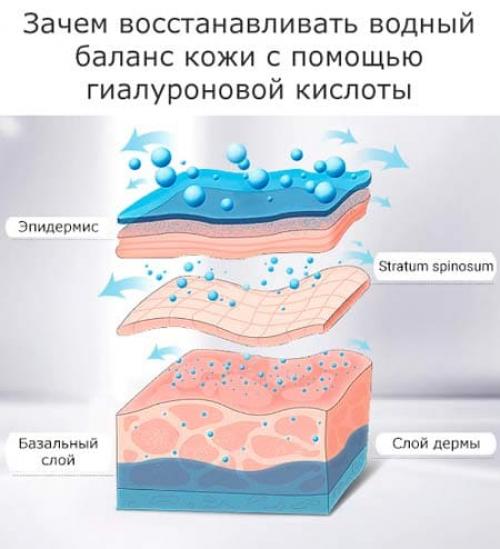 Чем заменить гиалуроновую кислоту в домашних условиях. Гиалуроновая кислота –, как пользоваться в домашних условиях, много рецептов