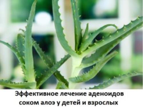Аденоиды у детей лечение народными средствами. Лечение травами
