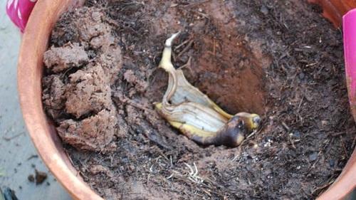 Сухой порошок из банановой кожуры