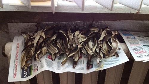 Сухой порошок из банановой кожуры