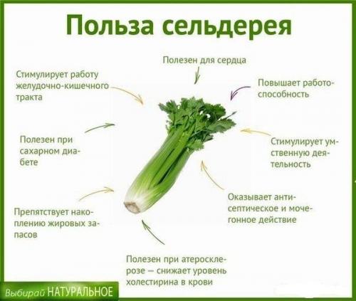 Белковый коктейль для похудения в домашних условиях: лучшие рецепты