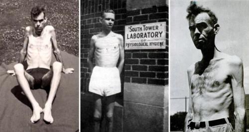 Миннесотский голодный эксперимент 1944 года. Ход исследования
