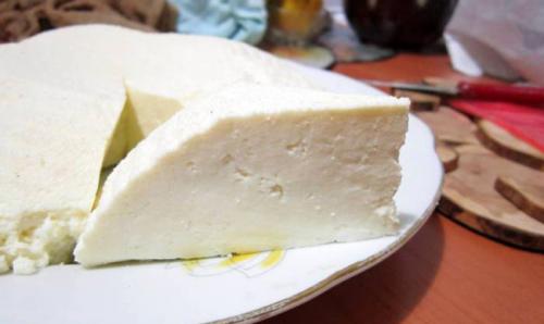 Адыгейский сыр с чем есть. С чем есть Адыгей сыр