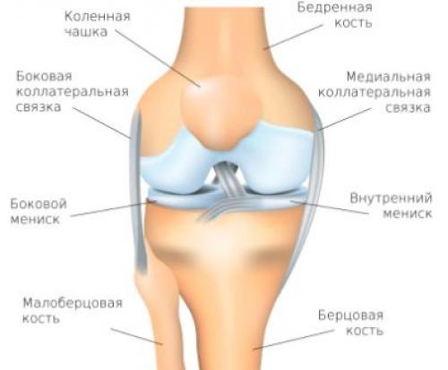 Как лечить боль в колене быстро в домашних условиях. Строение коленного сустава