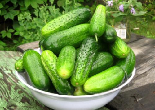 8 недельная диета. Общие правила