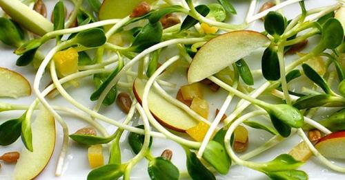 Секретные рецепты. Кто бы мог подумать…