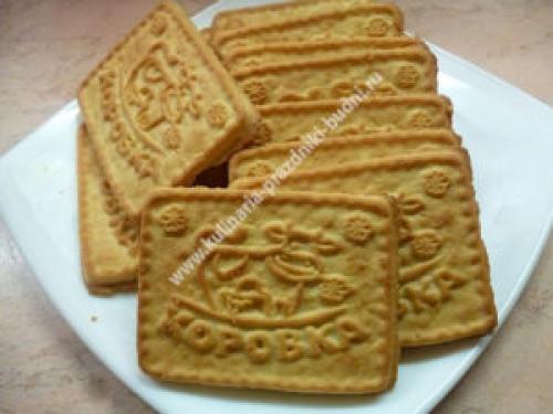 Конфеты из творога и кокосовой стружки. Конфеты из творога