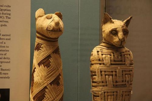 25 малоизвестных фактов. 25 любопытных и малоизвестных фактов о мумиях (25 фото)