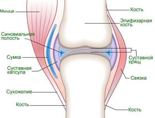 Лечение суставов народными средствами в домашних условиях