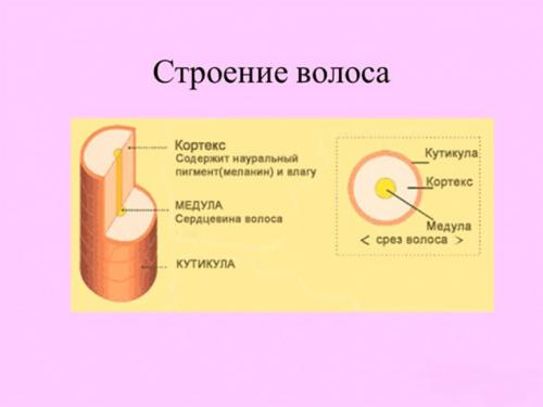 Как покрасить волосы в домашних условиях