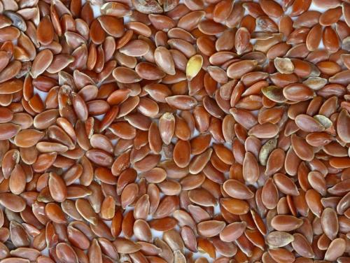 Можно ли жевать семена льна. Зачем я постоянно жую семена льна. Это должен знать каждый, особенно женщины старше 35 лет!