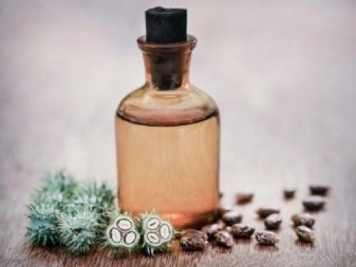 Как добиться густые брови. Как сделать брови красивыми и густыми: маски и компрессы 11