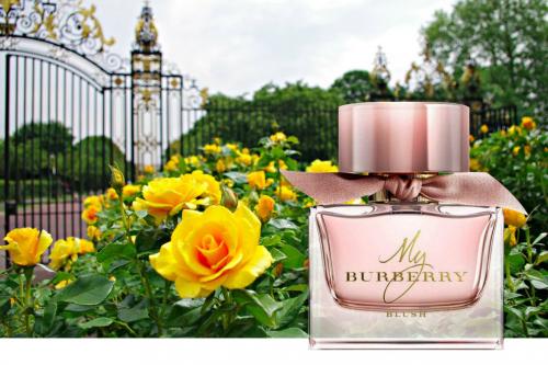 Ароматы на осень зиму. 08