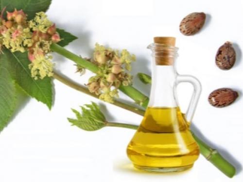 Что лучше репейное или касторовое масло для ресниц. Касторовое или репейное масло: какое лучше для укрепления ресниц и бровей 04