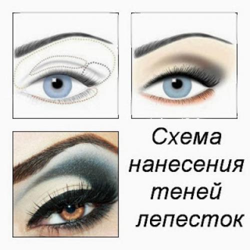 Техники макияжа глаз «лепесток». Экспертное мнение. Схема нанесения теней лепесток.