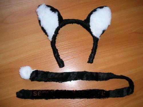 Костюм женщины кошки, как сделать. Костюм кошки для девочки своими руками 15 Костюм женщины кошки, как сделать. Костюм кошки для девочки своими руками 15