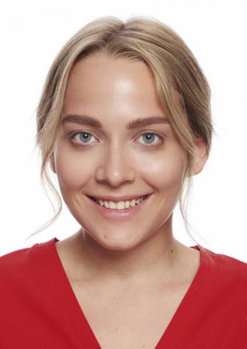 Естественный макияж глаз тенями. Натуральный макияж: фотоинструкция