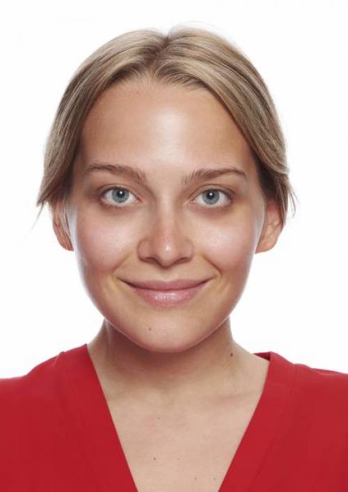 Естественный макияж глаз тенями. Натуральный макияж: фотоинструкция