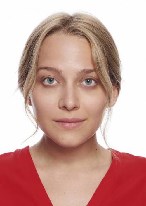 Естественный макияж глаз тенями. Натуральный макияж: фотоинструкция