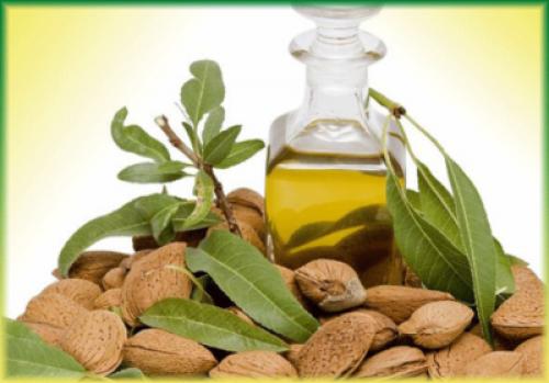 Миндальное масло свойства и применение в косметологии. Свойства и применение миндального масла для кожи лица 01