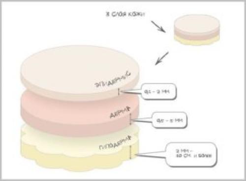 Что лучше микроблейдинг или перманентный макияж. Немного о микроблейдинге