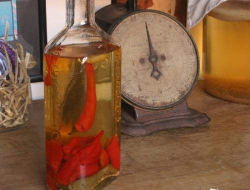 Народное средство от выпадения волос. Самые эффективные народные средства от выпадения волос: рецепты