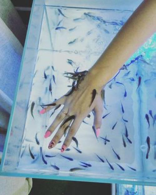 Как называются рыбки которые делают пилинг. В чем заключается процедура 03