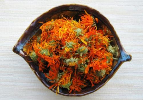 Как отрастить брови после выщипывания. Как быстро отрастить брови в домашних условиях? Лучшие способы отрастить брови за неделю, месяц, после выщипывания, татуажа, неудачной коррекции, редкие брови