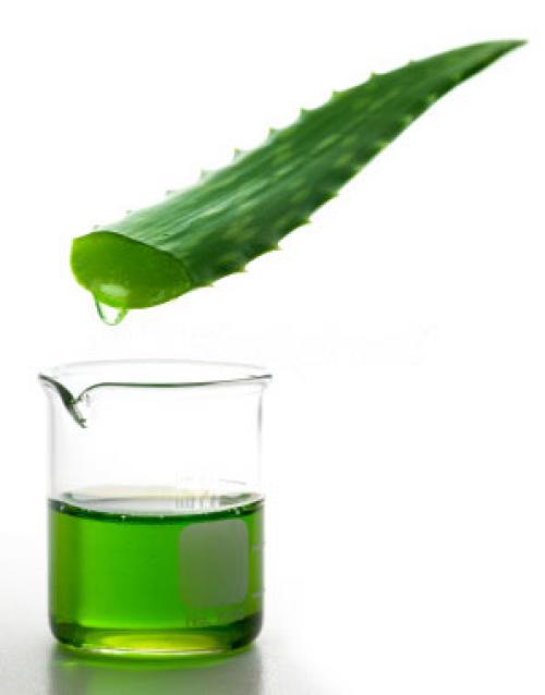 Маски для лица из алоэ от морщин. Биостимулированный сок алоэ от морщин 08