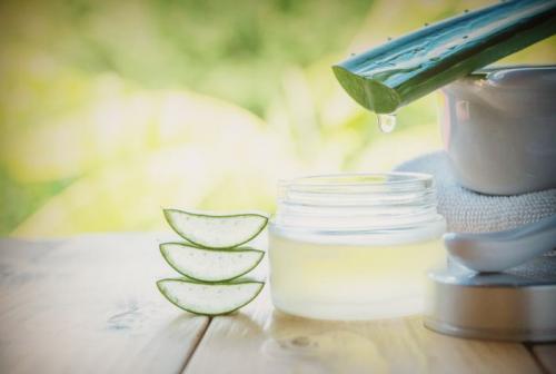 Протирать лицо листом алоэ. Противопоказания в использовании алоэ