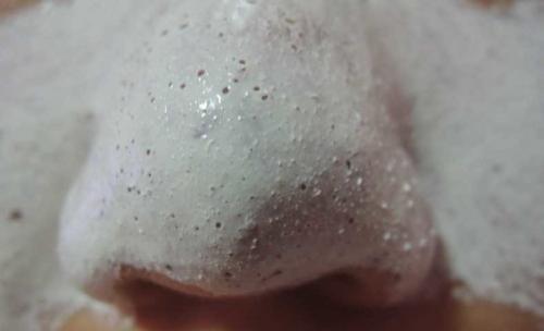 Маски для лица из алоэ от морщин. Биостимулированный сок алоэ от морщин 06