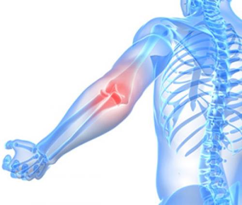 Препараты для хрящевой ткани. Хондропротекторы 08