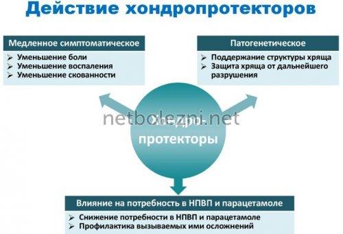Гели для суставов список. Самые эффективные гели для суставов 06 Гели для суставов список. Самые эффективные гели для суставов 06
