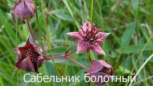 Гели для суставов список. Самые эффективные гели для суставов 07 Гели для суставов список. Самые эффективные гели для суставов 07