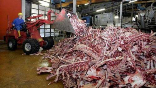 Желатиновые капсулы. Растительные или желатиновые капсулы?