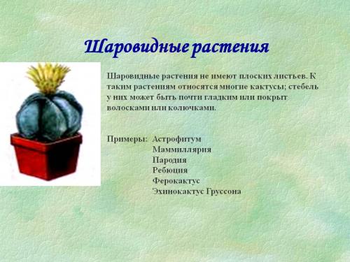 Примеры шаровидных суставов. Виды суставов человека 01 Примеры шаровидных суставов. Виды суставов человека 01