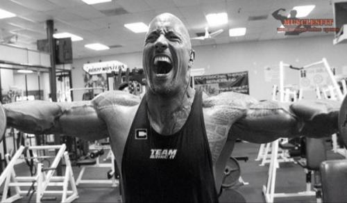 Дуэйн джонсон тренировка грудных мышц. Программа тренировок Дуэйна Джонсона. Плечи