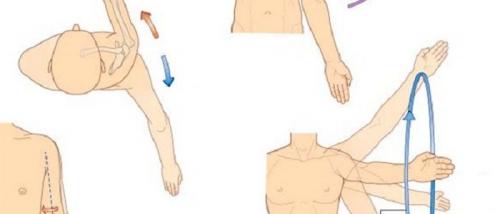 Виды суставов и движения в них. Виды движений в суставах