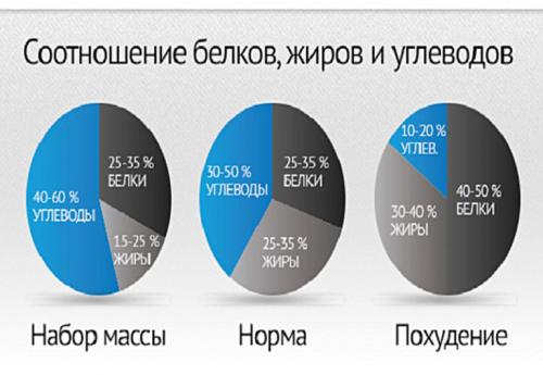 Расчет КБЖУ по формуле. Как определить дневной калораж