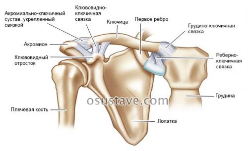 Ключично-акромиальное сочленение лечение. Акромиально-ключичный артроз плечевого сустава: симптомы и лечение