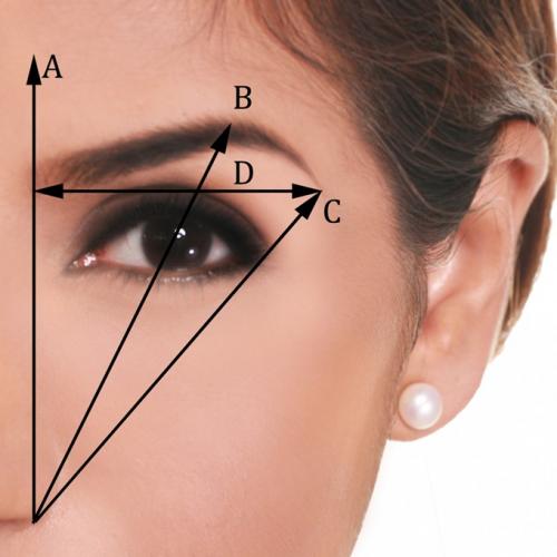 Как правильно выщипать брови: пошаговая инструкция для начинающих 01