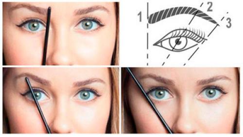 Как правильно выщипать брови: пошаговая инструкция для начинающих 17