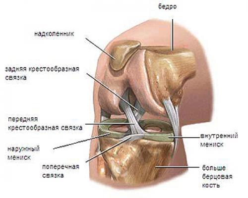 Разрыв мениска мрт. МРТ особенности и варианты анатомии менисков коленного сустава 01 Разрыв мениска мрт. МРТ особенности и варианты анатомии менисков коленного сустава 01