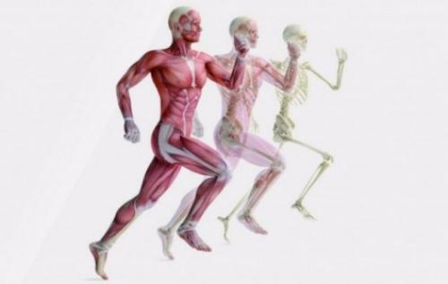 Куда поехать лечить суставы. Санатории с лечением опорно-двигательного аппарата