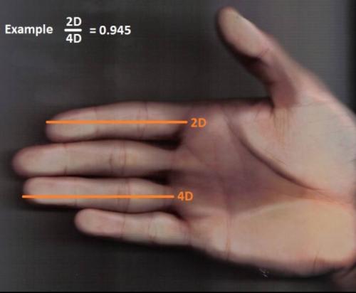Как шишка на указательном пальце влияет на личность человека. Научная хиромантия
